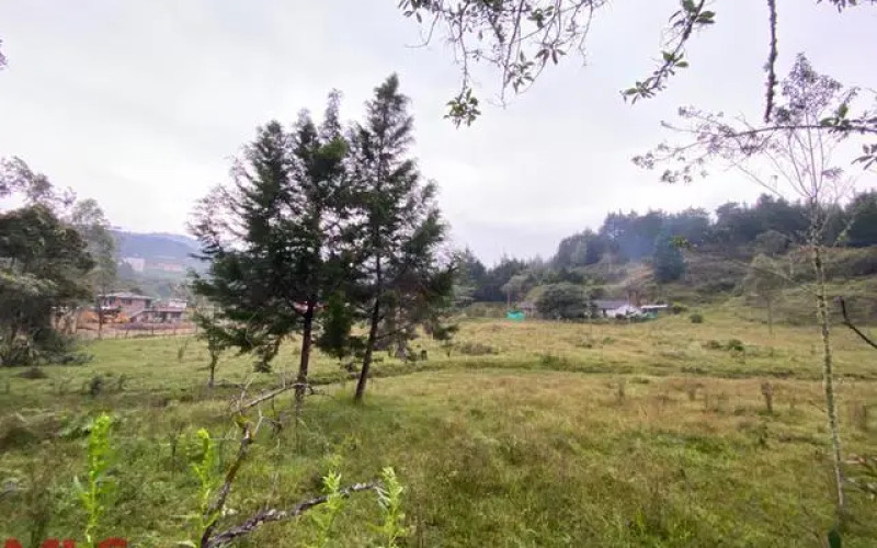 Lote Residencial en Guarne en Autopista (Guarne)