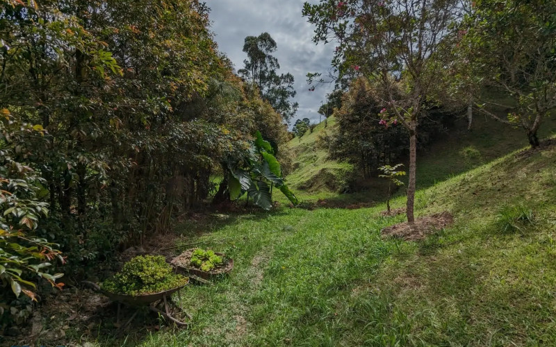Lote Residencial en El Carmen en Rural
