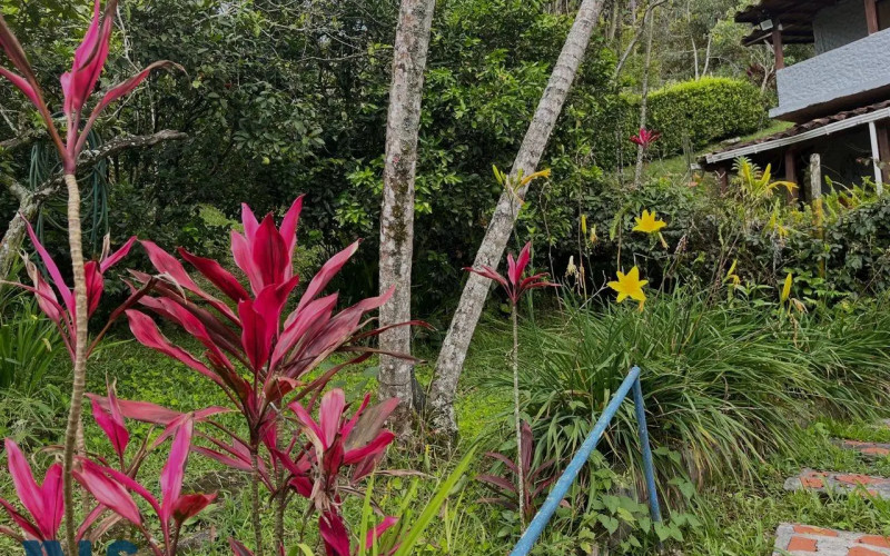 Finca Recreativa en Barbosa en Rural