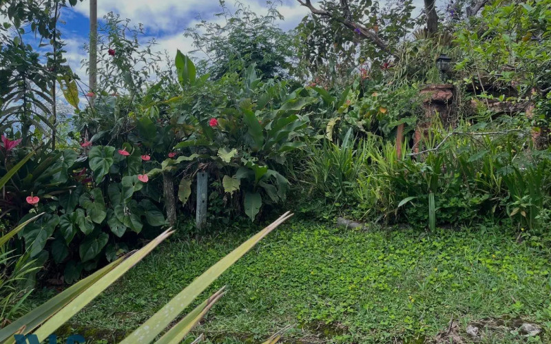 Finca Recreativa en Barbosa en Rural