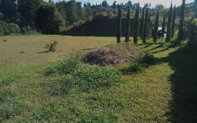 Lote Residencial en Rionegro en V. Sajonia