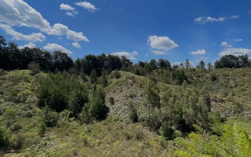 Apartamento en Rionegro en El Porvenir