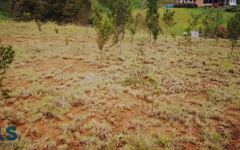 Lote Residencial en Envigado en Alto de las Palmas