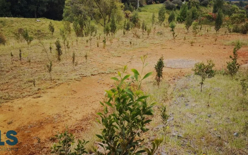 Lote Residencial en Envigado en Alto de las Palmas