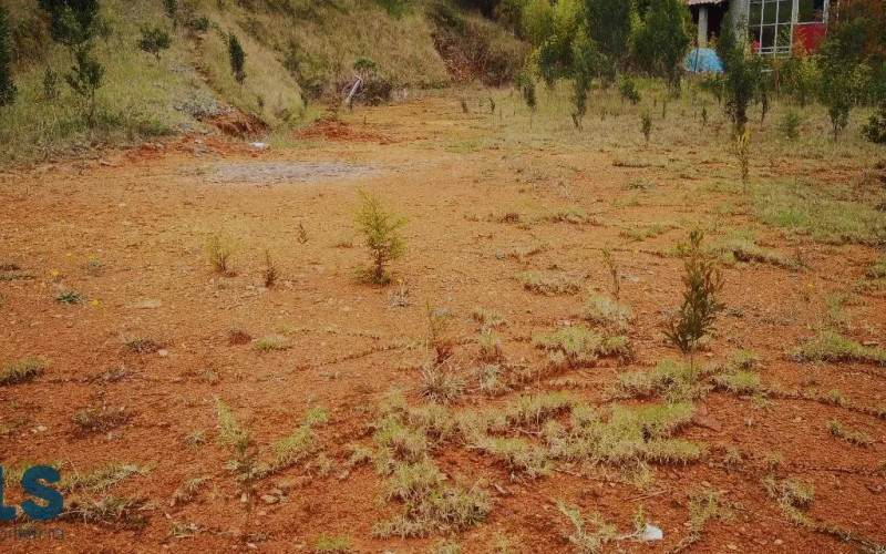 Lote Residencial en Envigado en Alto de las Palmas