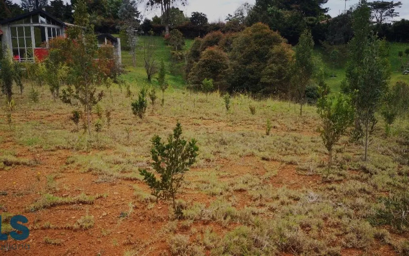Lote Residencial en Envigado en Alto de las Palmas