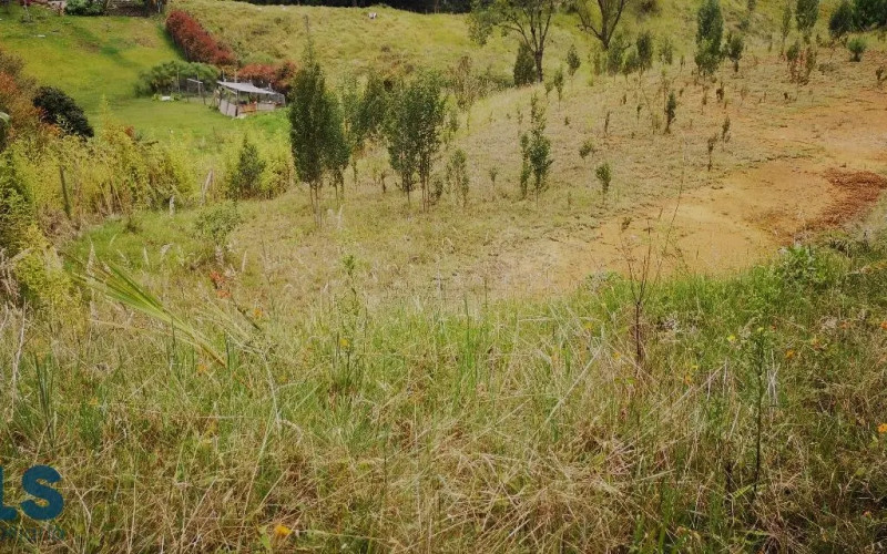 Lote Residencial en Envigado en Alto de las Palmas