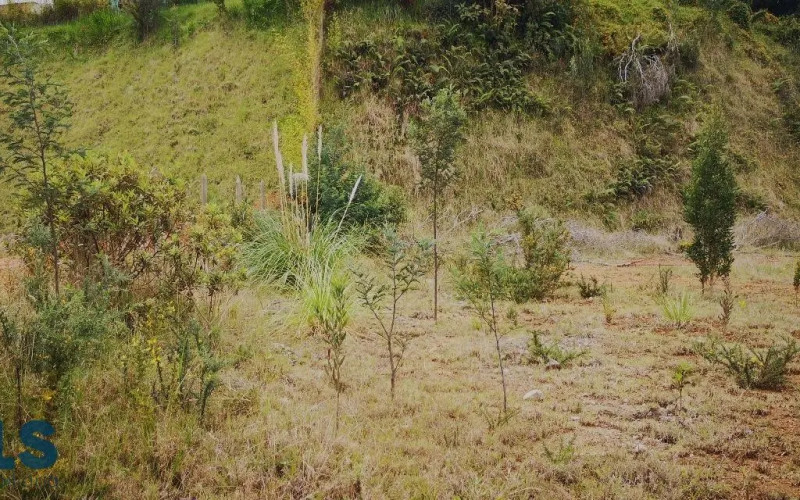 Lote Residencial en Envigado en Alto de las Palmas
