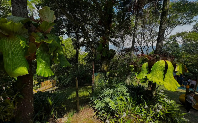Casa en Envigado en El Esmeraldal