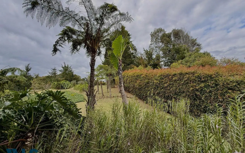 Casa en Medellín en Alto de Las Palmas