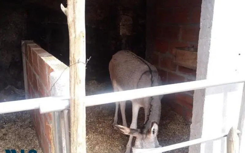 Casa en La Estrella en Sector Variante a Caldas