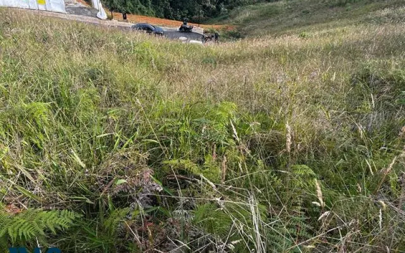 Lote Residencial en Envigado en V. Pantanillo (envigado)