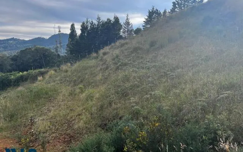 Lote Residencial en Envigado en V. Pantanillo (envigado)