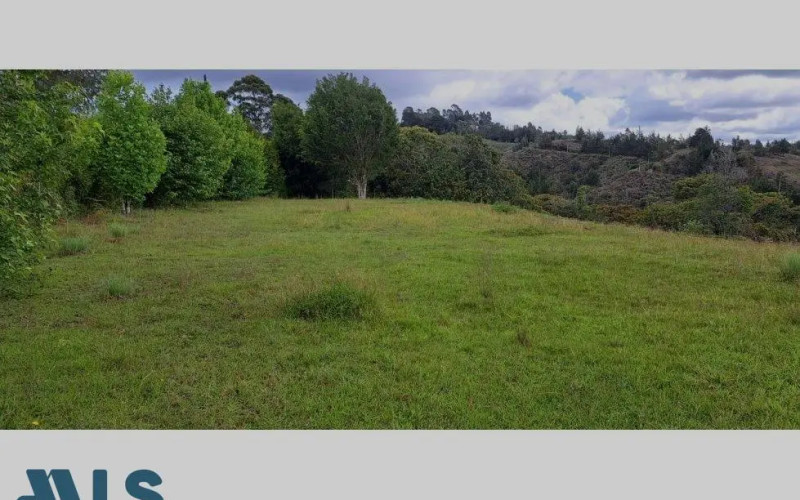 Lote Residencial en Rionegro en V. Sajonia