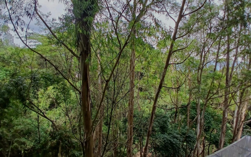 Apartamento en Medellín en El Poblado