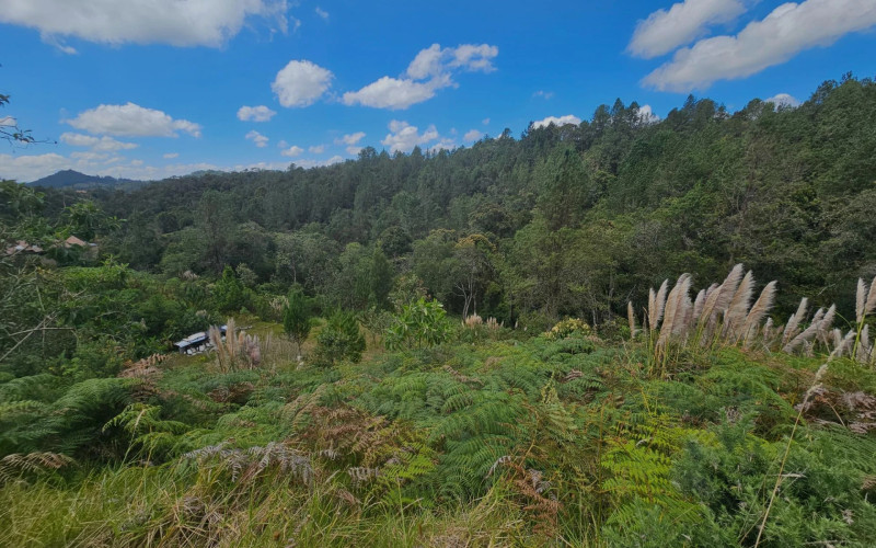 Lote Residencial en Envigado en Alto del escobero (Envigado)