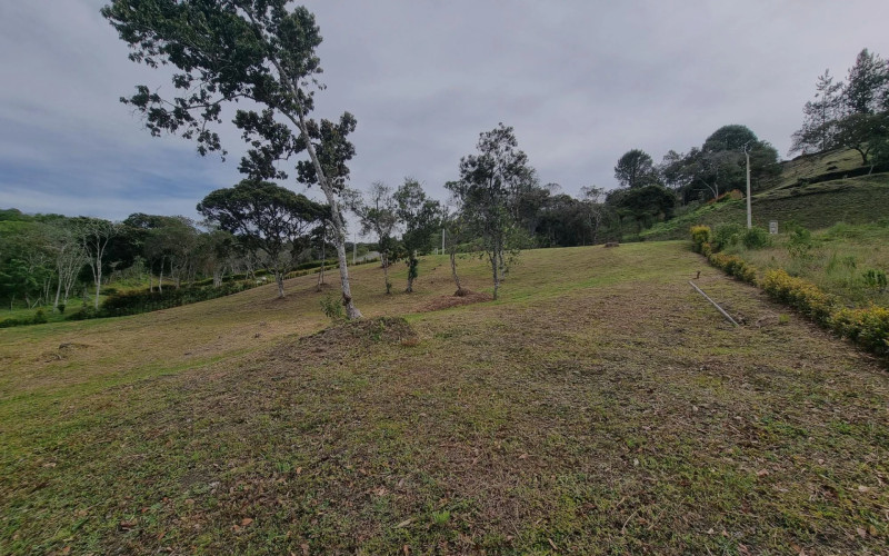 Lote Residencial en El Carmen en Corredor San Anonio- La Ceja