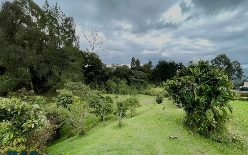 Lote Residencial en Envigado en Alto de las Palmas