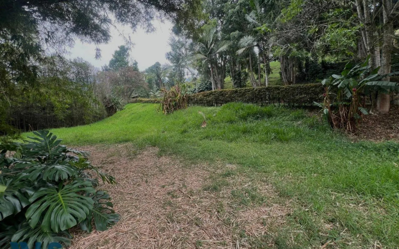 Lote Residencial en Medellín en Los Balsos Nº 1