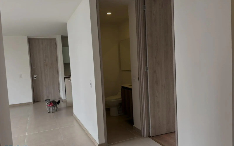 Apartamento en Medellín en Los Balsos Nº 1