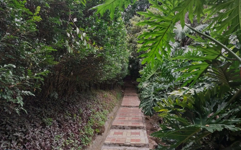 Apartamento en Medellín en La Tomatera
