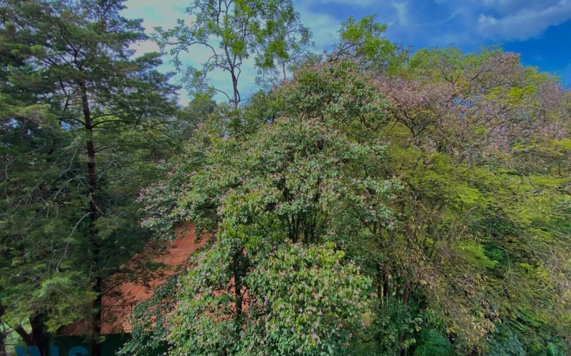 Apartamento en Medellín en Vizcaya