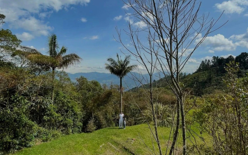 Lote Residencial en Envigado en La Catedral