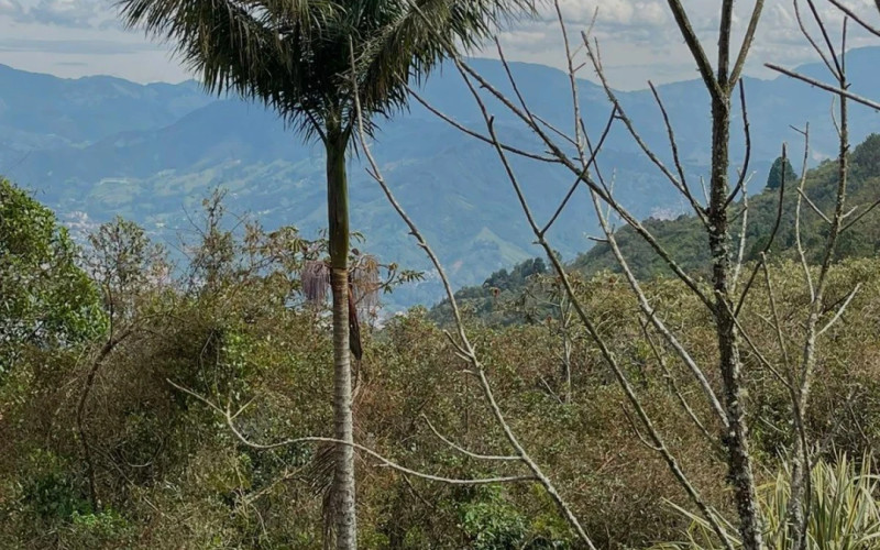 Lote Residencial en Envigado en La Catedral