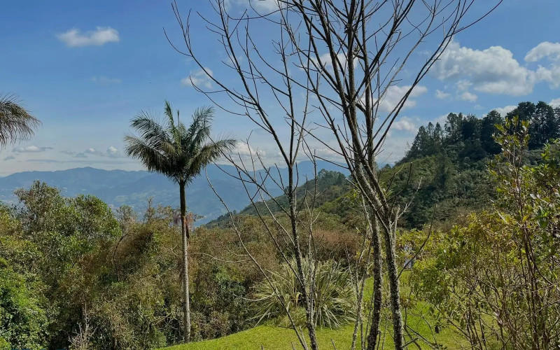 Lote Residencial en Envigado en La Catedral