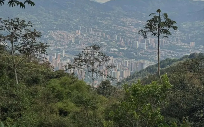 Lote Residencial en Envigado en La Catedral