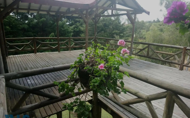 Casa en Rionegro en San Antonio de Pereira