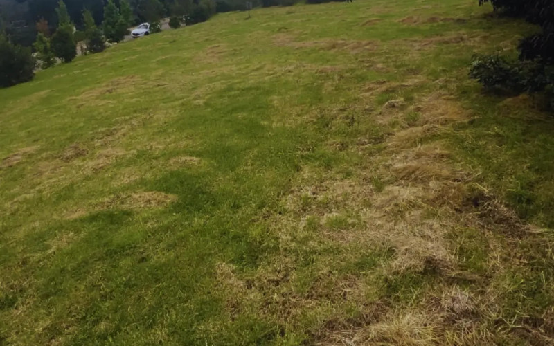 Lote Residencial en Envigado en Alto de las Palmas