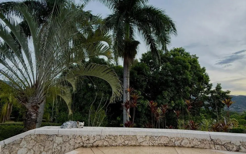Finca Recreativa en San Jerónimo en Urbano