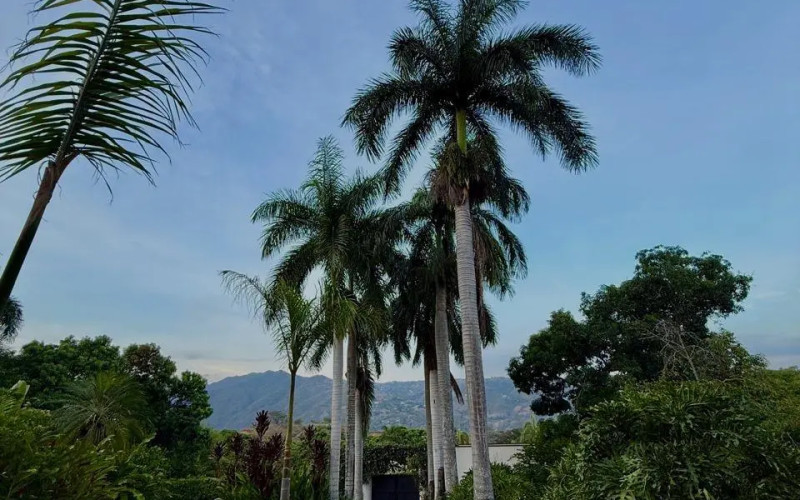 Finca Recreativa en San Jerónimo en Urbano