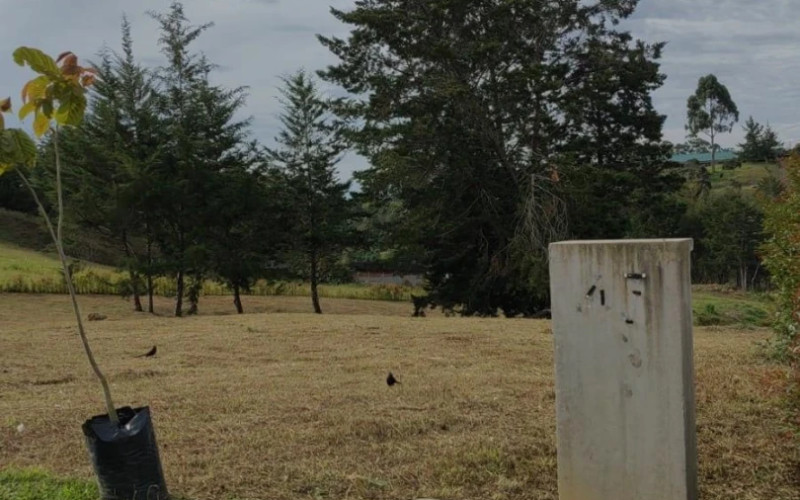 Lote Residencial en Rionegro en Corredor San Antonio - La Ceja (Rionegro)