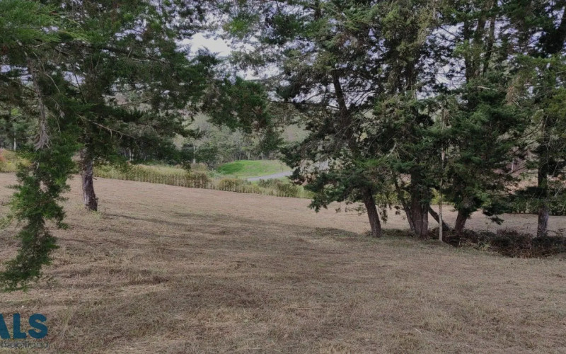 Lote Residencial en Rionegro en Corredor San Antonio - La Ceja (Rionegro)