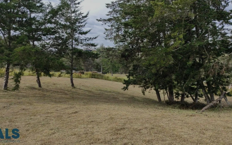 Lote Residencial en Rionegro en Corredor San Antonio - La Ceja (Rionegro)
