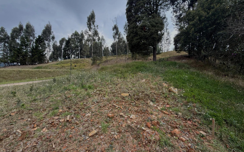 Lote Residencial en Envigado en Alto de las Palmas