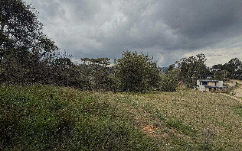 Lote Residencial en Envigado en Alto de las Palmas