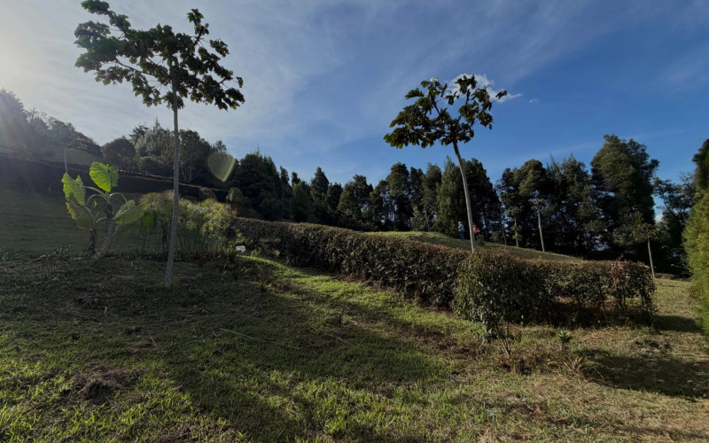 Finca Recreativa en Guarne en V. La Honda