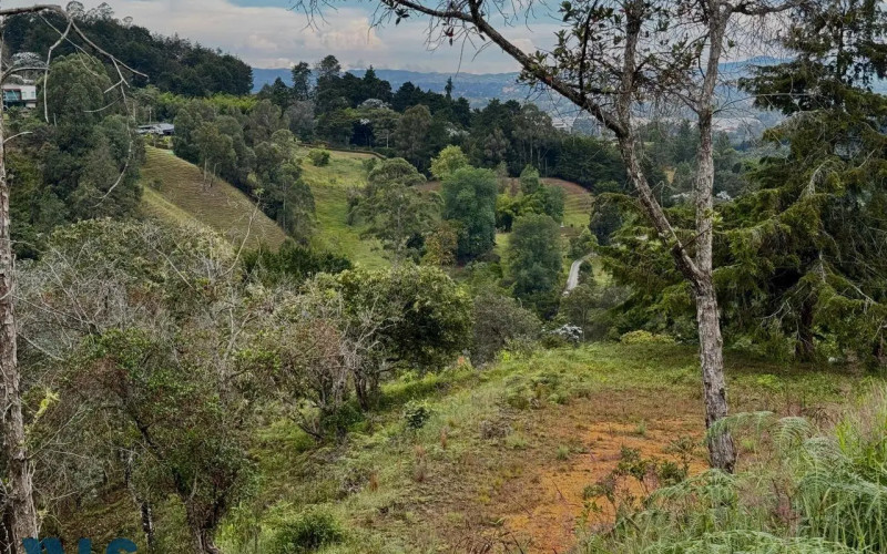 Lote Residencial en Rionegro en V. La Quiebra