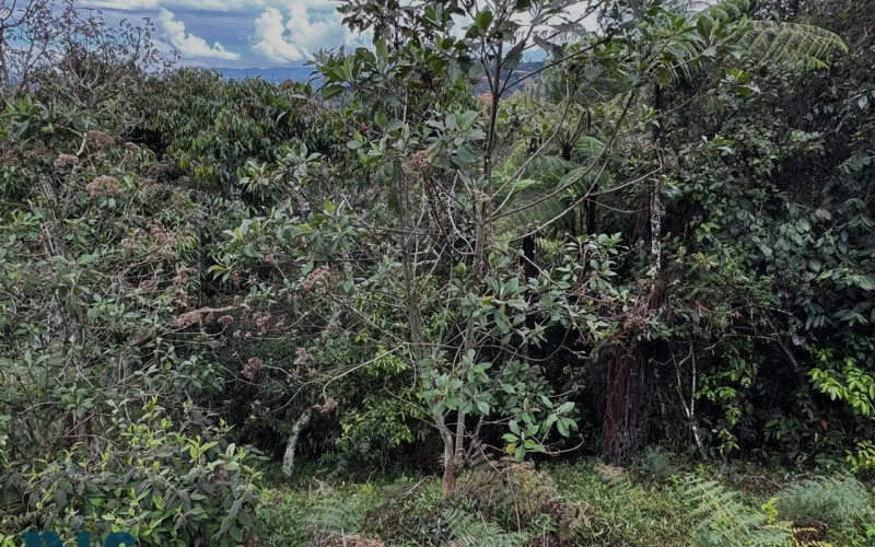 Lote Residencial en Rionegro en V. La Quiebra