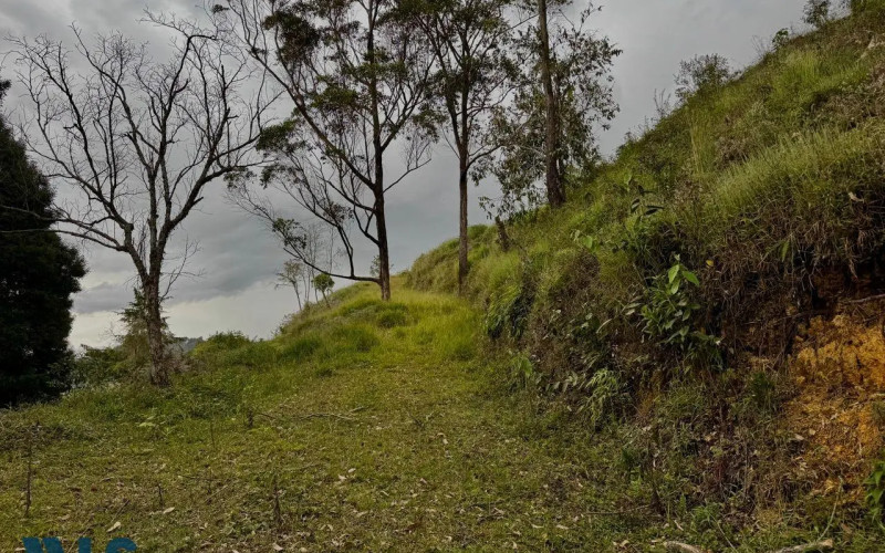 Lote Residencial en Rionegro en V. La Quiebra