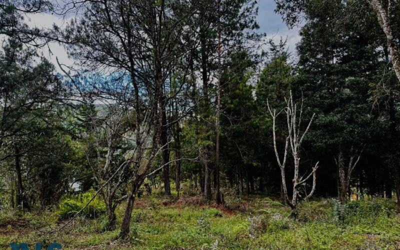 Lote Residencial en Rionegro en V. La Quiebra