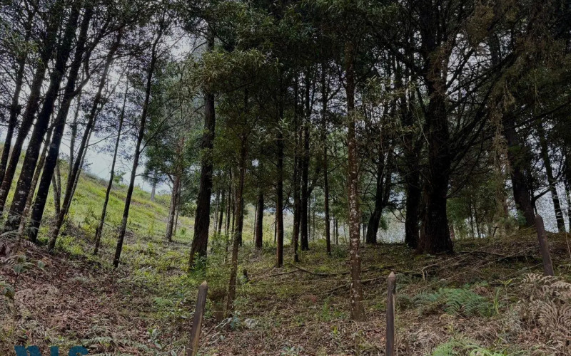 Lote Residencial en Rionegro en V. La Quiebra