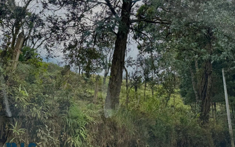 Lote Residencial en Rionegro en V. La Quiebra