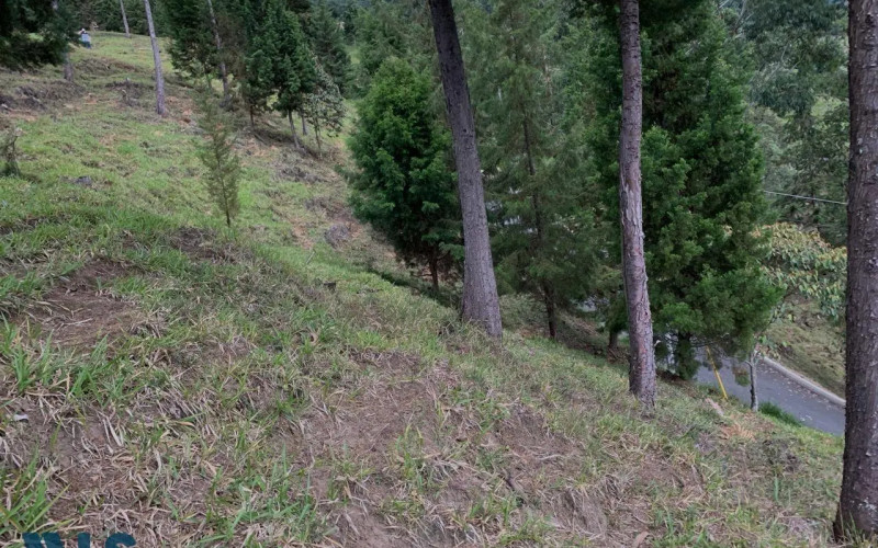 Lote Residencial en Envigado en El Salado