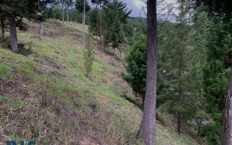 Lote Residencial en Envigado en El Salado