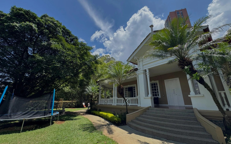 Apartamento en Medellín en Los Balsos Nº 1