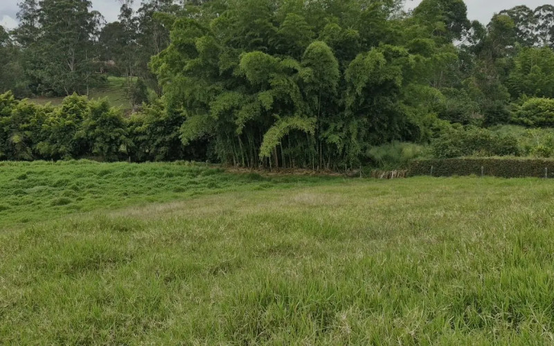 Lote Residencial en Rionegro en Corredor San Antonio - La Ceja (Rionegro)